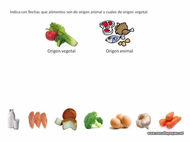 Imágenes para colorear de alimentos de origen animal y vegetal ...