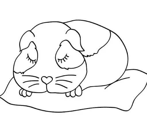 COLOREAR DIBUJOS DE HAMSTERS | Dibujos para colorear COLOREAR DIBUJOS DE HAMSTERS | Dibujos para colorear