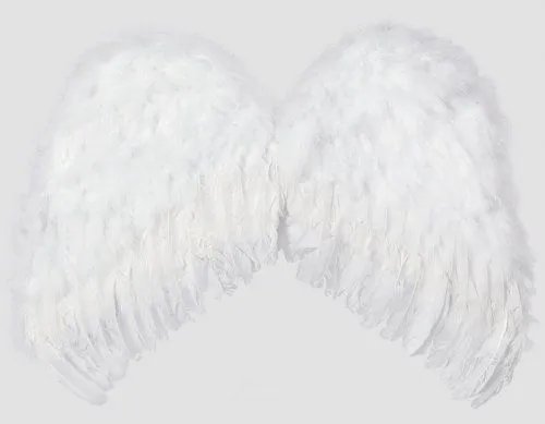 Imagenes de alas de angeles para niños - Imagui