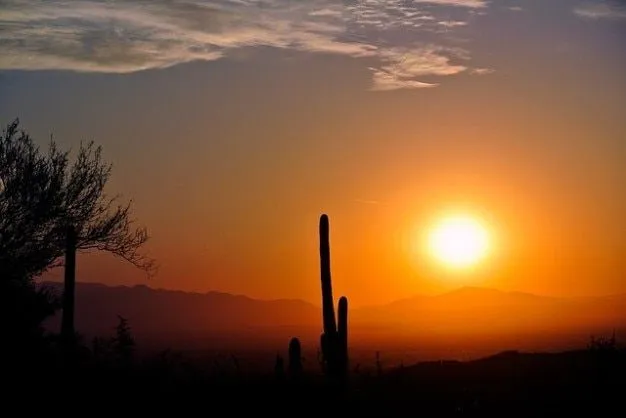 amanecer arizona cactus, naturaleza, paisaje desierto | Descargar ...