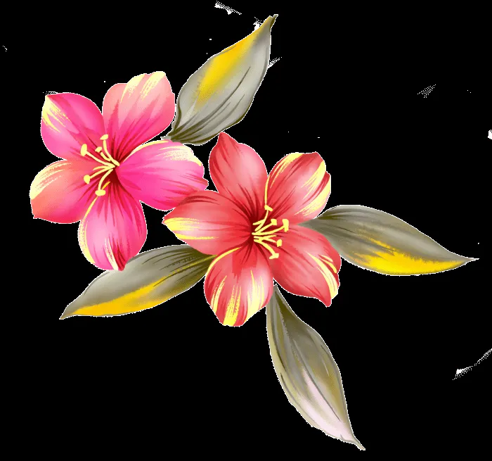 AMARNA ARTESANATO E IMAGENS: FLORES EM IMAGENS PNG AMARNA ARTESANATO E IMAGENS: FLORES EM IMAGENS PNG