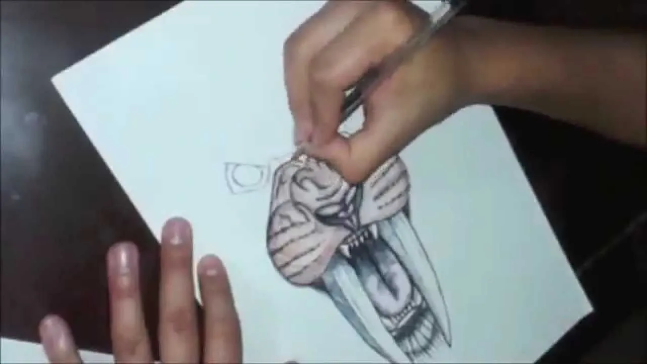 Amazing sabertooth - Diente de sable | BaRoN paso a paso - Dibujos para  Colorear - YouTube