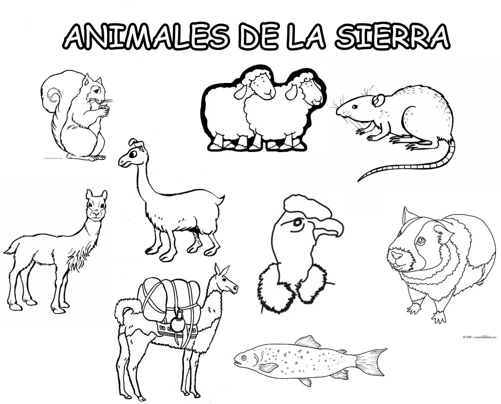 Animales de la sierra peruana para colorear - Imagui