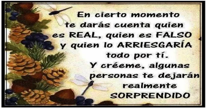Amistad reflexiones y Algo más: En cierto momento te darás cuenta ... Amistad reflexiones y Algo más: En cierto momento te darás cuenta ...
