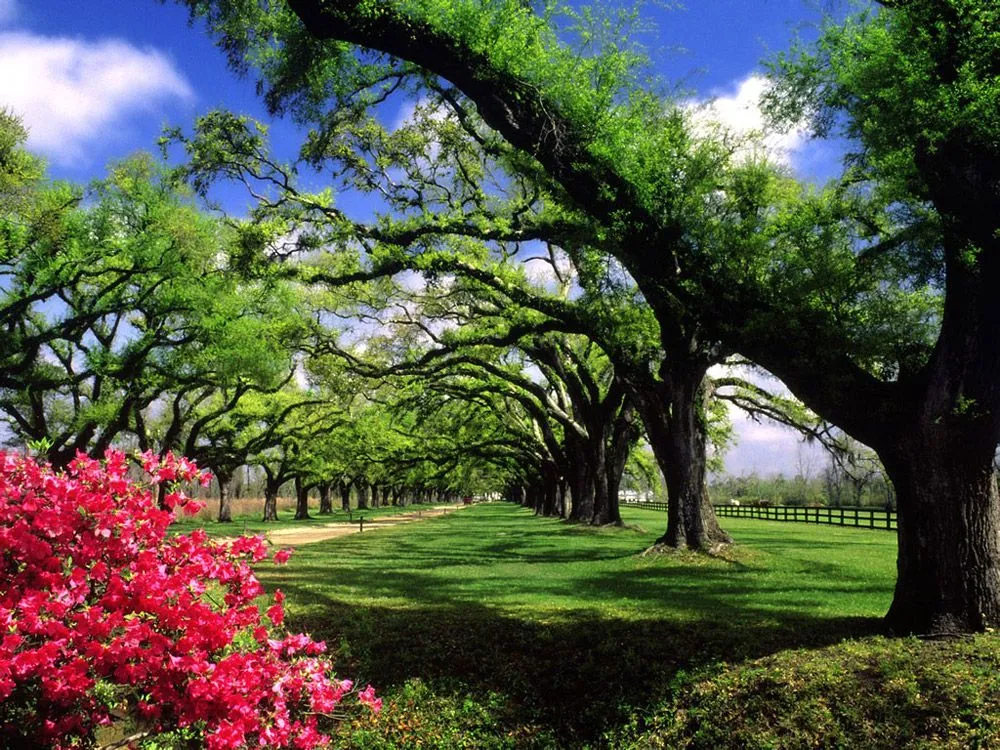 amo a Shane Gray: Paisajes para fotomontajes amo a Shane Gray: Paisajes para fotomontajes
