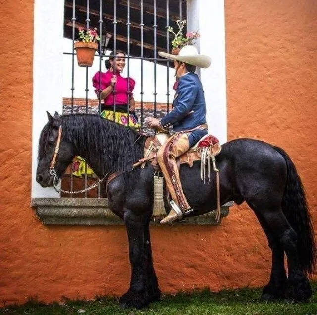 Amor charro mexicano | Charro !! | Pinterest | Amor, Guadalajara ...