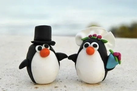 amor duradero? imita a los pinguinos - Foro Antes de la boda ...