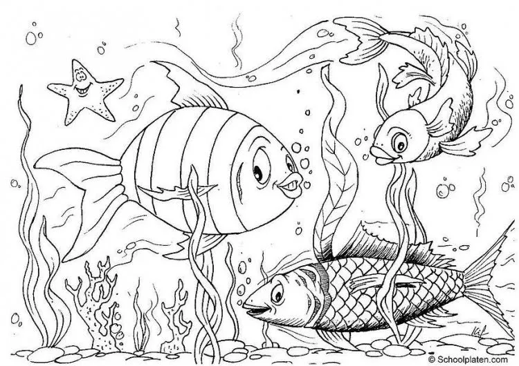 Educa Con Igualdad: Dibujo de peces para colorear