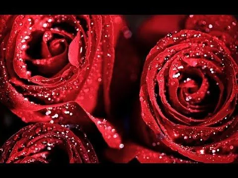 El Amor Verdadero - Reflexiones de Amor - YouTube