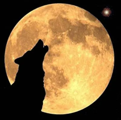 ‘Los motivos del lobo’, de Rubén Darío | Un poema al día ‘Los motivos del lobo’, de Rubén Darío | Un poema al día