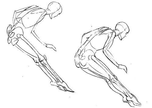 Tecnicas dibujo: Anatomia de la figura en movimiento