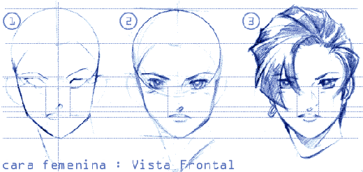 Cabeza Femenina: Vista frontal basica | Dibujando