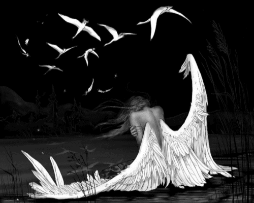 AnGel SiN AlAs: Los demonios son solo angeles con las alas rotas..