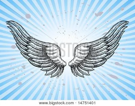 Angel Wings Vector Images, Stock Photos & Illustrations | Bigstock