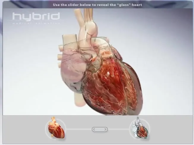 Animaciones del cuerpo humano | Biblioteca Médica Virtual - Blog Animaciones del cuerpo humano | Biblioteca Médica Virtual - Blog