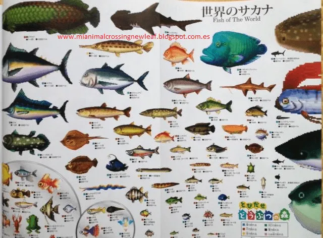 Nombres peces - Imagui