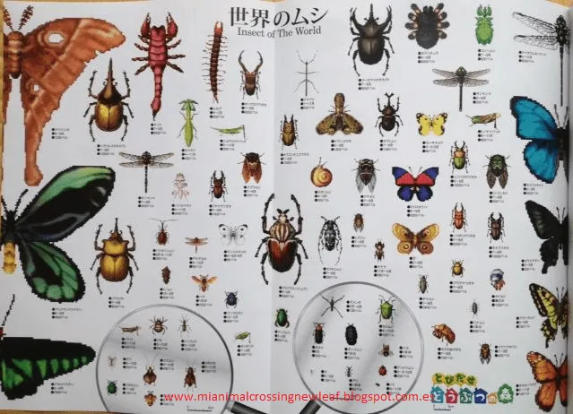 Mi Animal Crossing New Leaf: Casi todos los insectos y peces