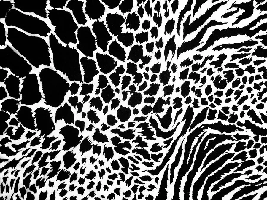 Animal Print Fabric Texture by nopromises-stock on DeviantArt