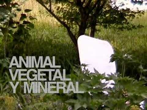 Animal, vegetal y mineral - YouTube