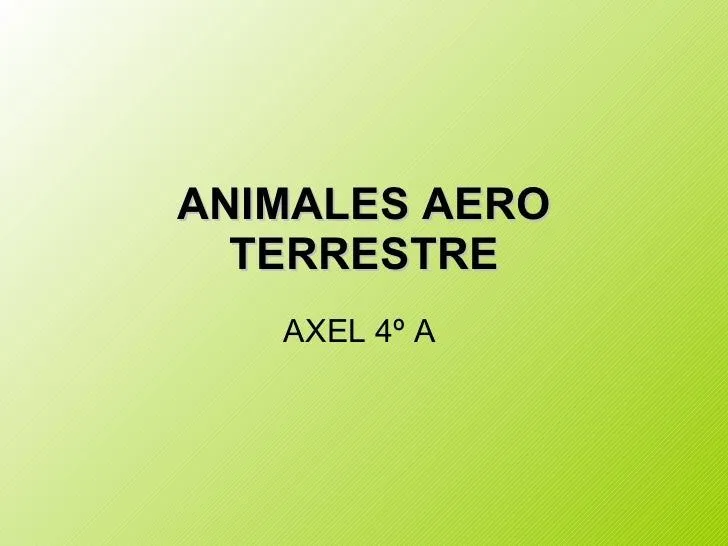 Animales Aero Terrestres 4º A - B