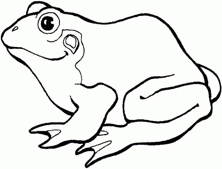 Dibujos de sapos y ranas - Imagui