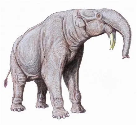 Animales y Animales » Los 10 animales prehistóricos más extraños