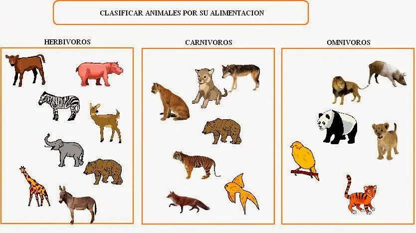 Animales carnivoros hervivoros y omnivoros - Imagui