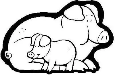 Cerdos caricaturas - Imagui