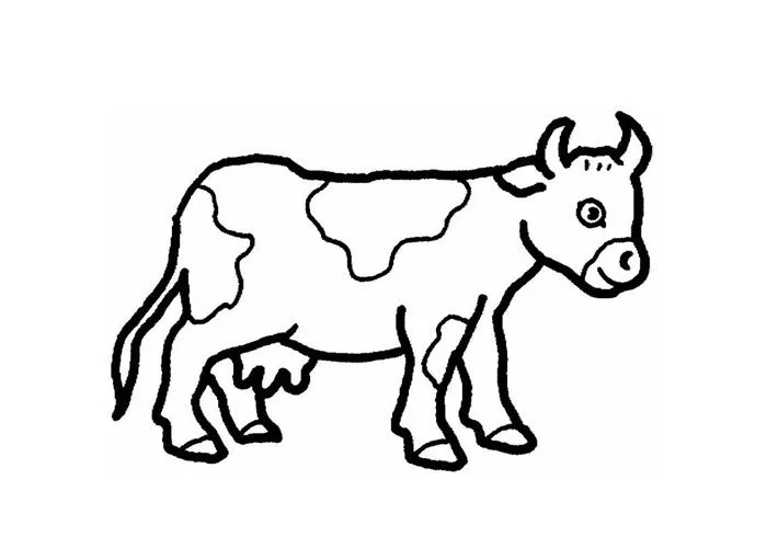 Cow dibujo - Imagui
