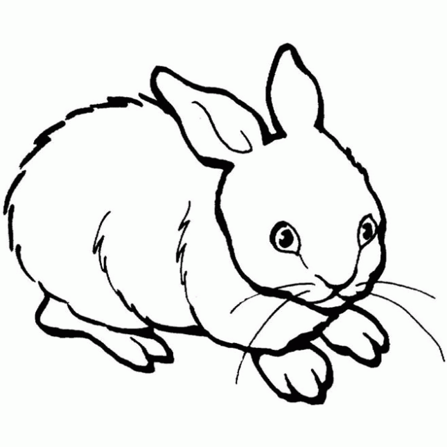  ... Conejos para colorear. Dibujos infantiles de Animales: Conejos