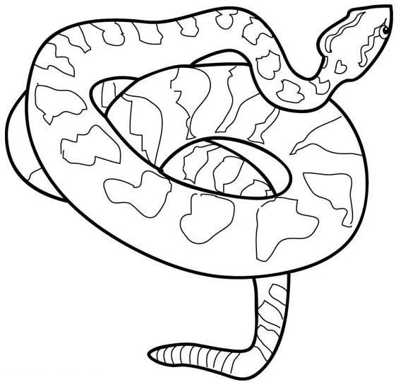 Animales para colorear: Serpientes