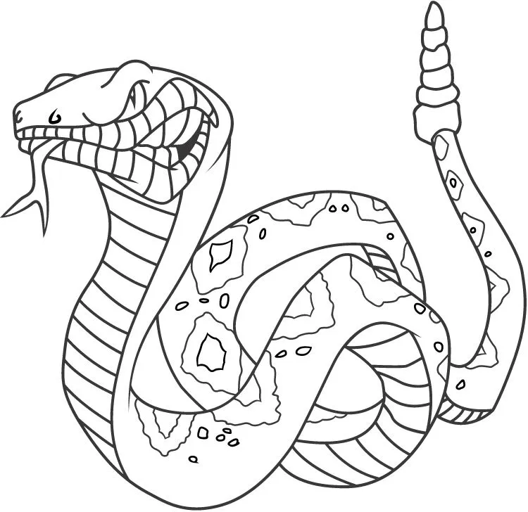 Animales para colorear: Serpientes de Cascabel Animales para colorear: Serpientes de Cascabel