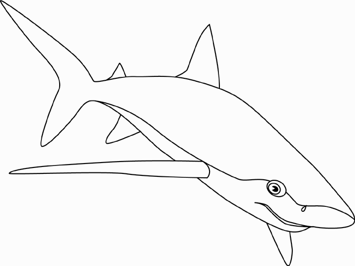 Animales para colorear: Tiburón azul