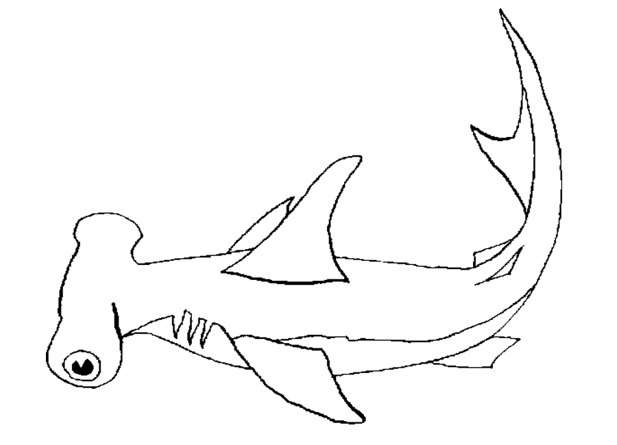 Animales para colorear: Tiburón martillo