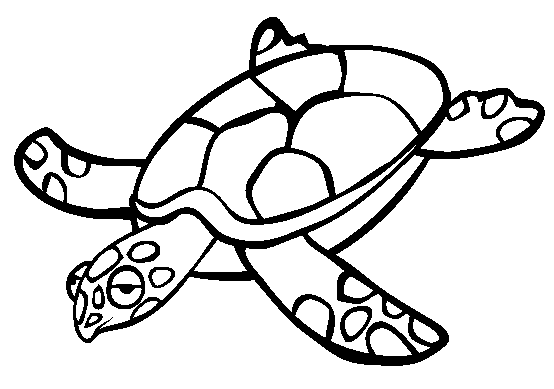 Animales para colorear: Tortugas marinas