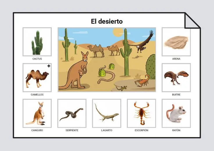 Animales del desierto | Animales del desierto, Bioma del desierto, Animales