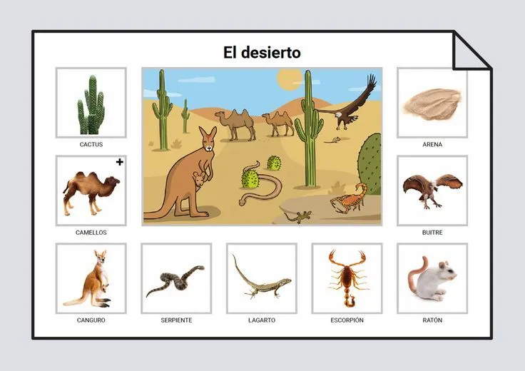 Animales del desierto | Animales del desierto, Bioma del desierto, Animales Animales del desierto | Animales del desierto, Bioma del desierto, Animales