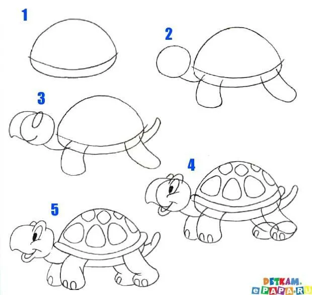 animales dibujar facil step | Cómo dibujar una tortuga? | DIBUJOS ...