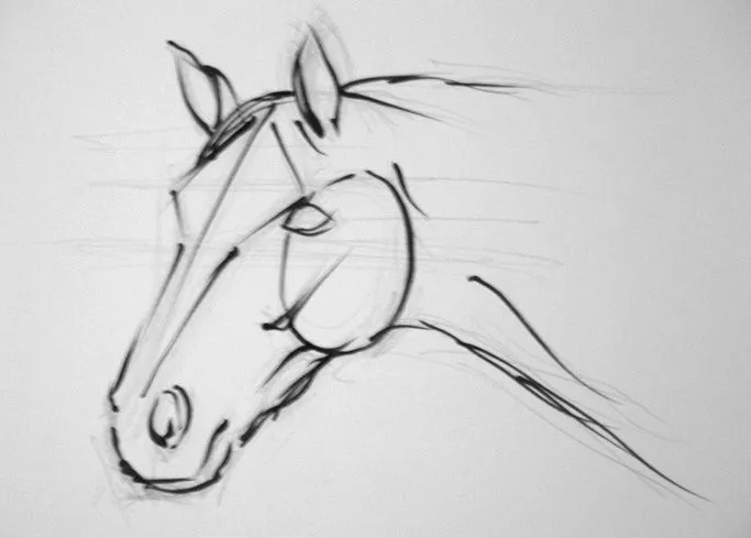 Como dibujar a lapiz un caballo - Dibujos a lapiz