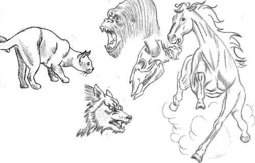 animales | Distintas técnicas de diseño y dibujo