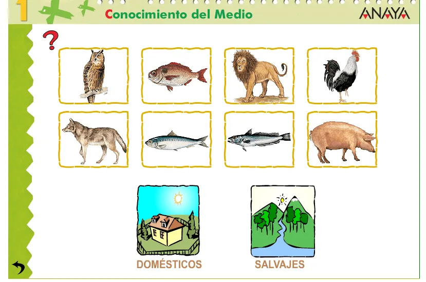 Animales domésticos y animales salvajes | MI CLASE DE PRIMERO