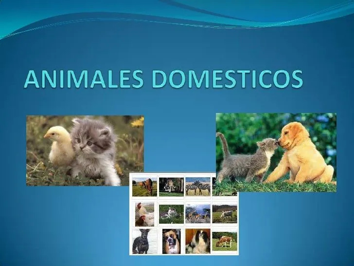 Animales domesticos diapositivas