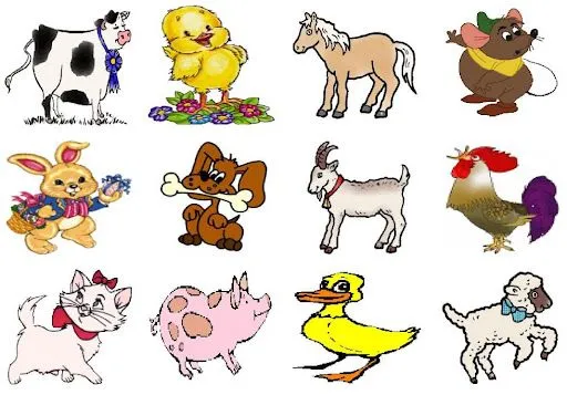 Animales domesticos en inglés para niños - Imagui