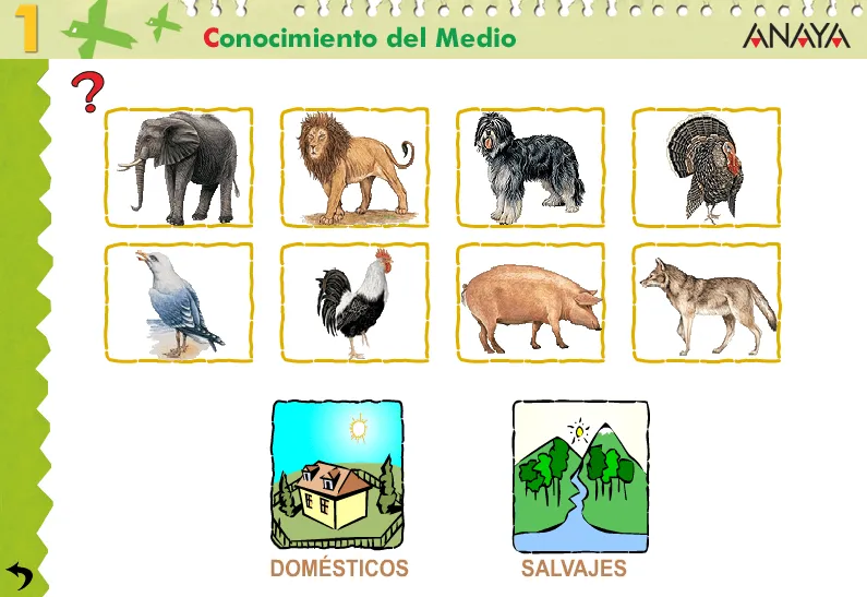Animales domésticos y salvajes | Blog de 1º de E.P. Colegio ...