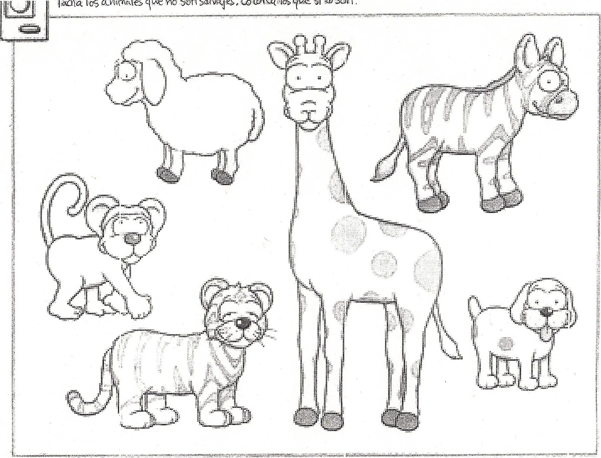 Dibujos Para Colorear De Animales Domesticos Y Salvajes