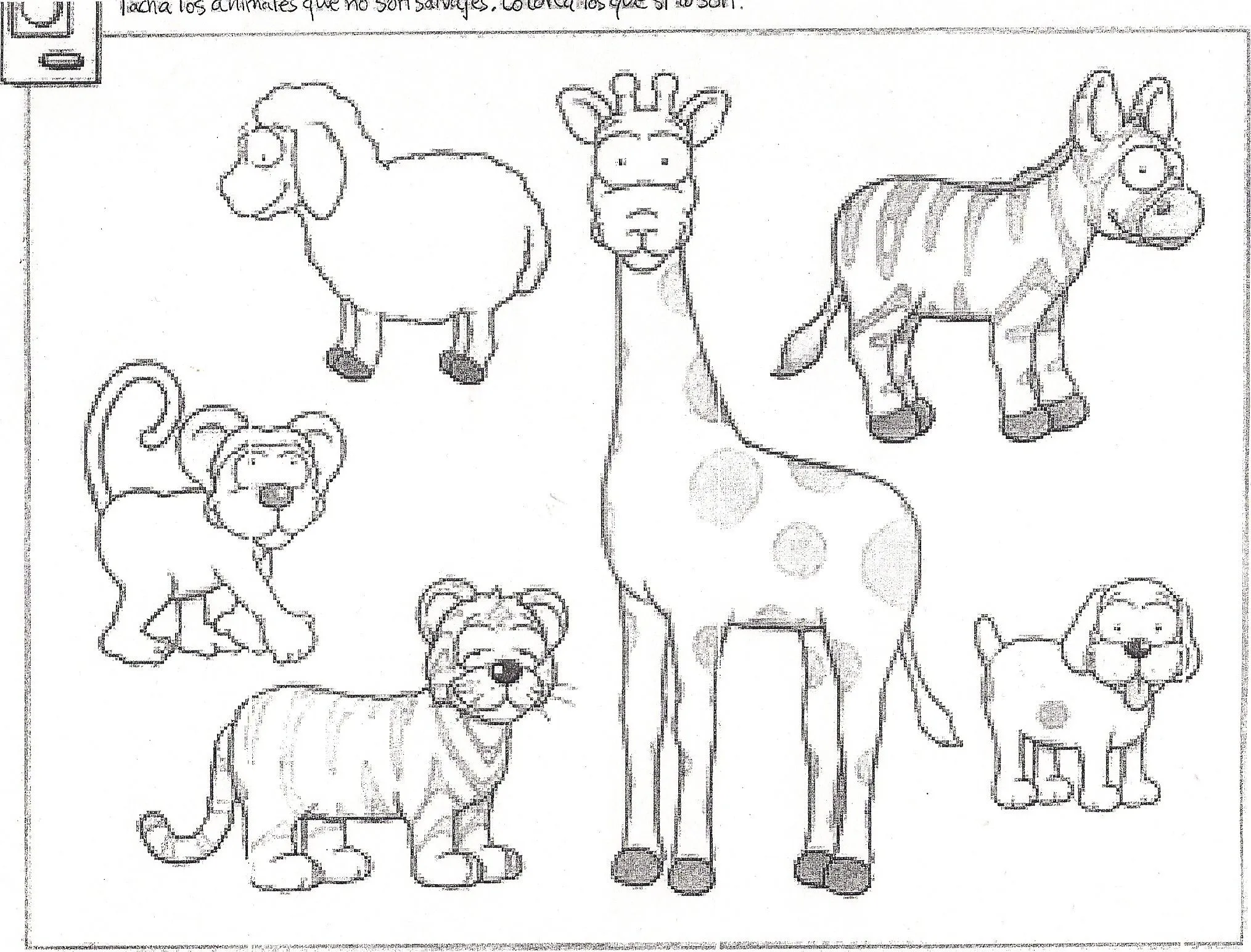 Animales Salvajes Y Domesticos Para Colorear