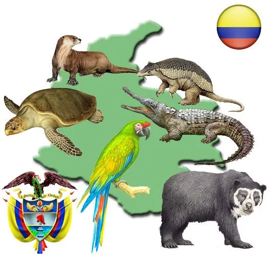 Animales extintos y en peligro de extinción en Colombia