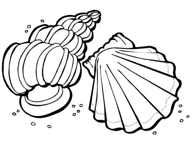 Dibujo de Caparazones en el mar para colorear. Dibujos infantiles ... Dibujo de Caparazones en el mar para colorear. Dibujos infantiles ...