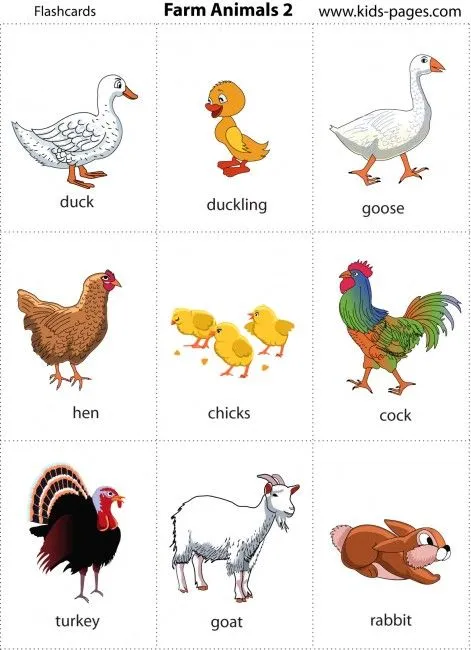 Animales de Granja (ESP-ENG) | Aprende Ingles Kids