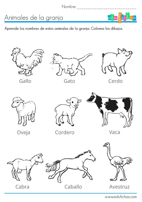 animales de la granja on Pinterest | Animales, Farm Animals and ...